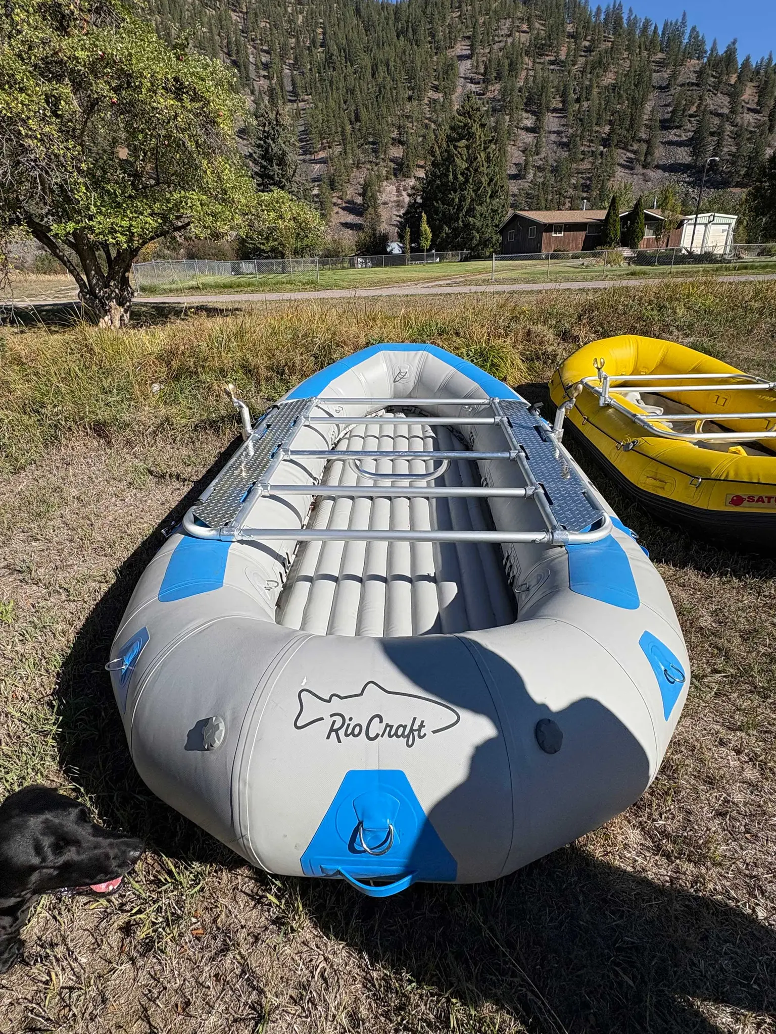 AI-generated alt text provided by AltText.ai will go here