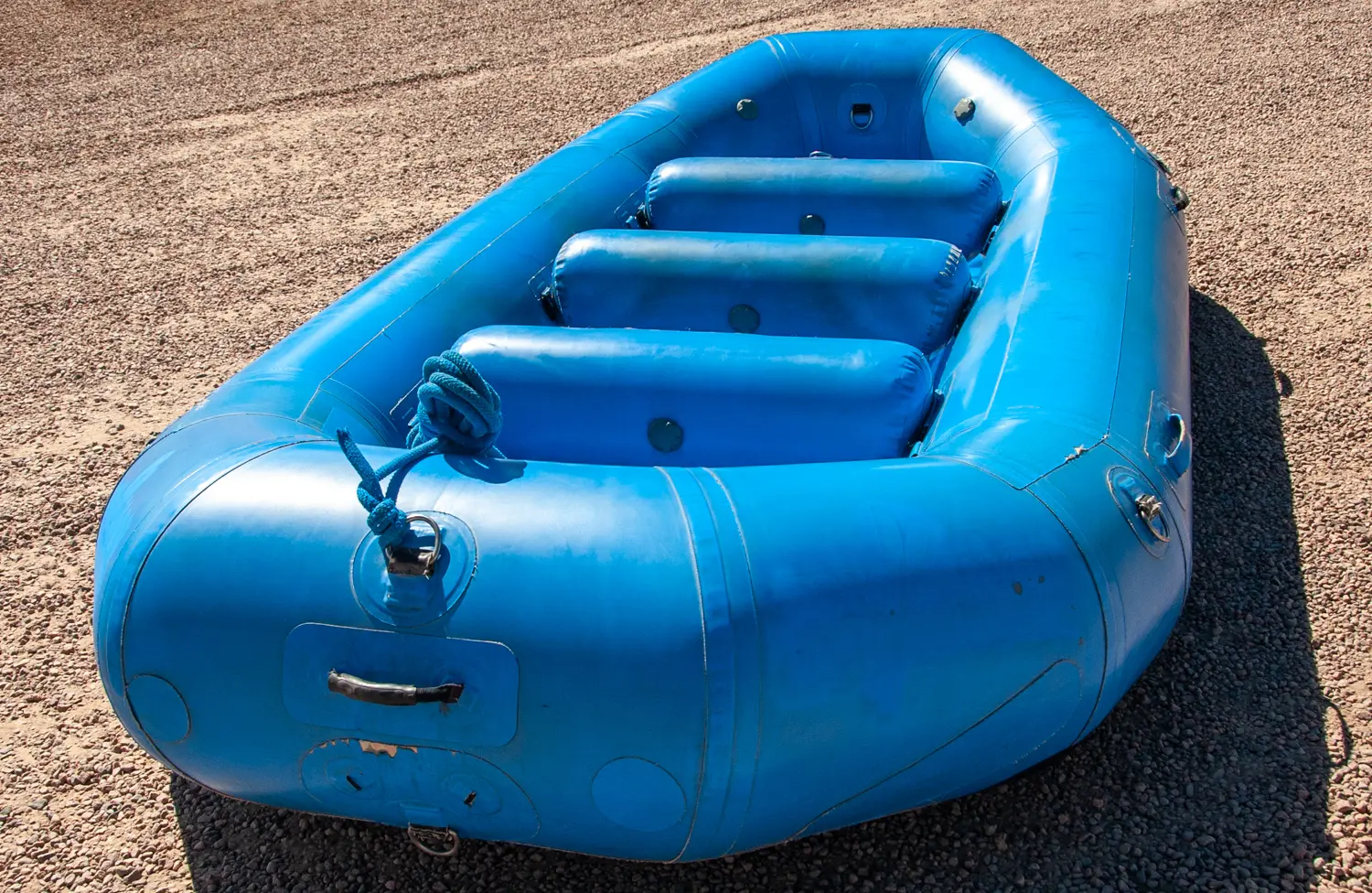 AI-generated alt text provided by AltText.ai will go here