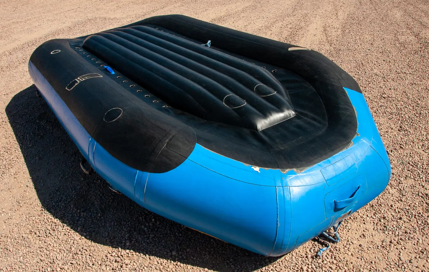 AI-generated alt text provided by AltText.ai will go here