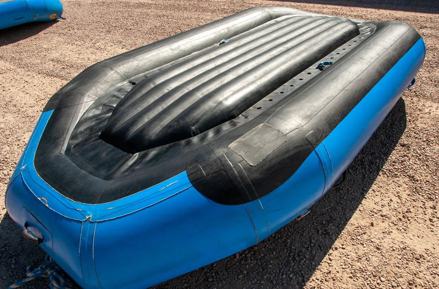 AI-generated alt text provided by AltText.ai will go here