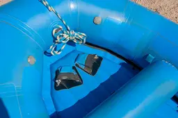 AI-generated alt text provided by AltText.ai will go here