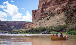 AI-generated alt text provided by AltText.ai will go here