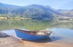 AI-generated alt text provided by AltText.ai will go here