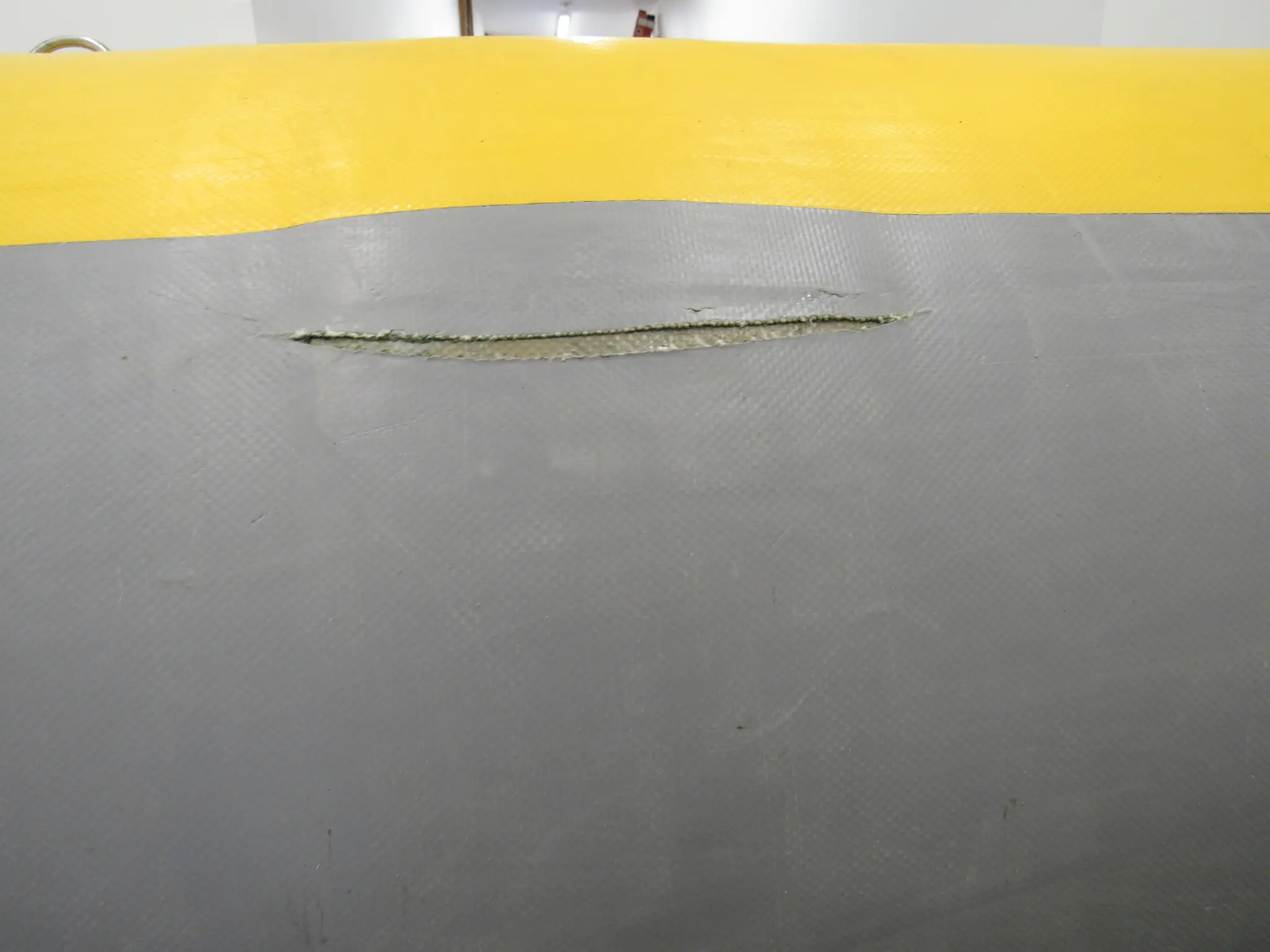 AI-generated alt text provided by AltText.ai will go here