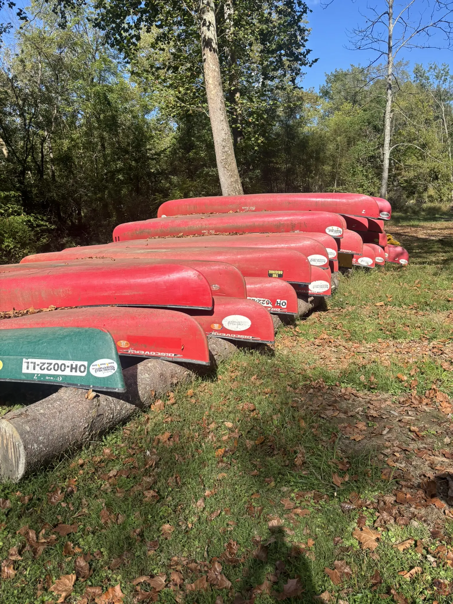 AI-generated alt text provided by AltText.ai will go here