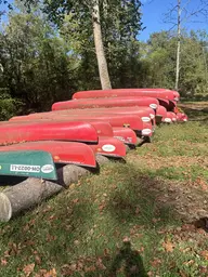 AI-generated alt text provided by AltText.ai will go here