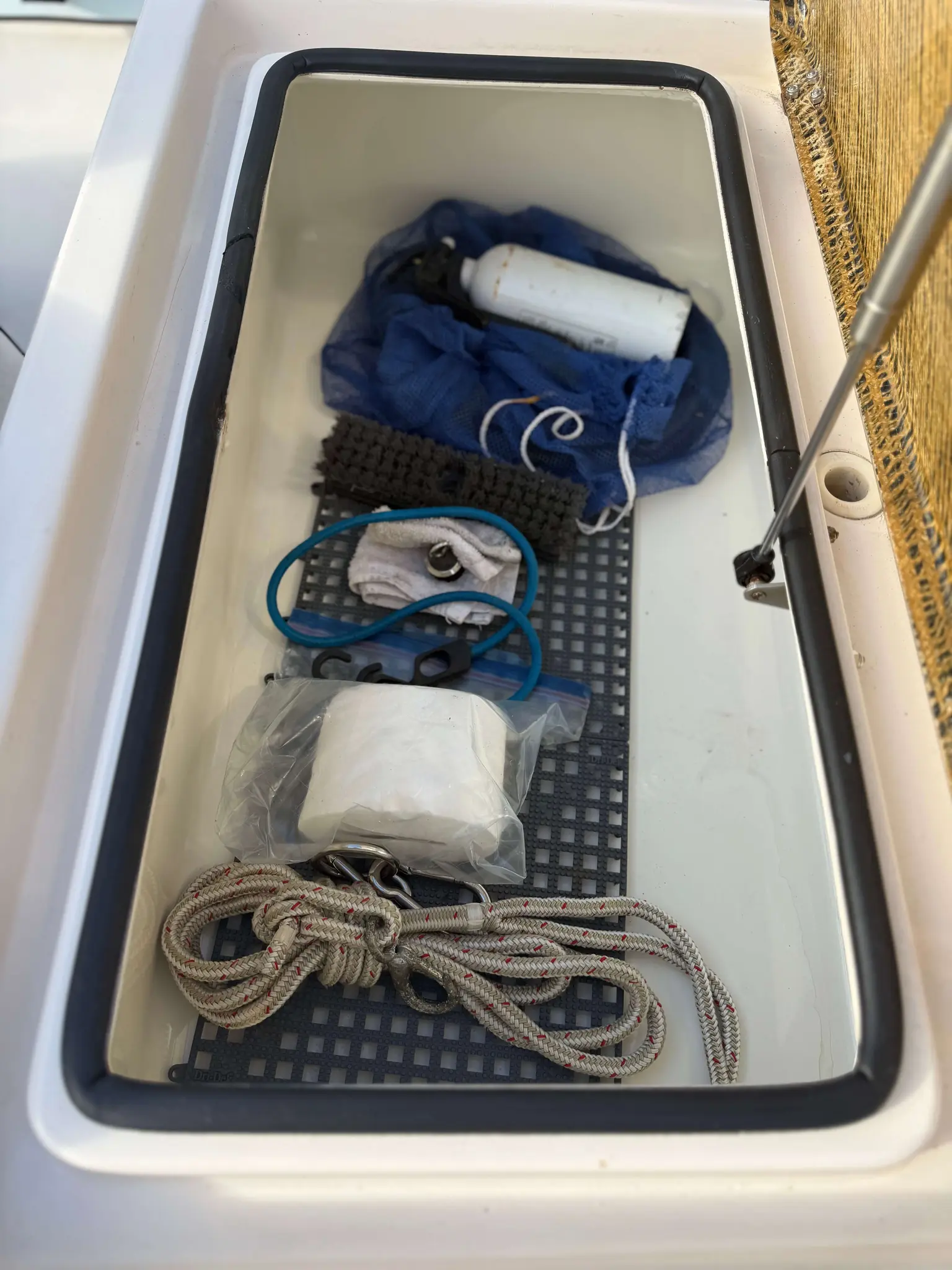 AI-generated alt text provided by AltText.ai will go here