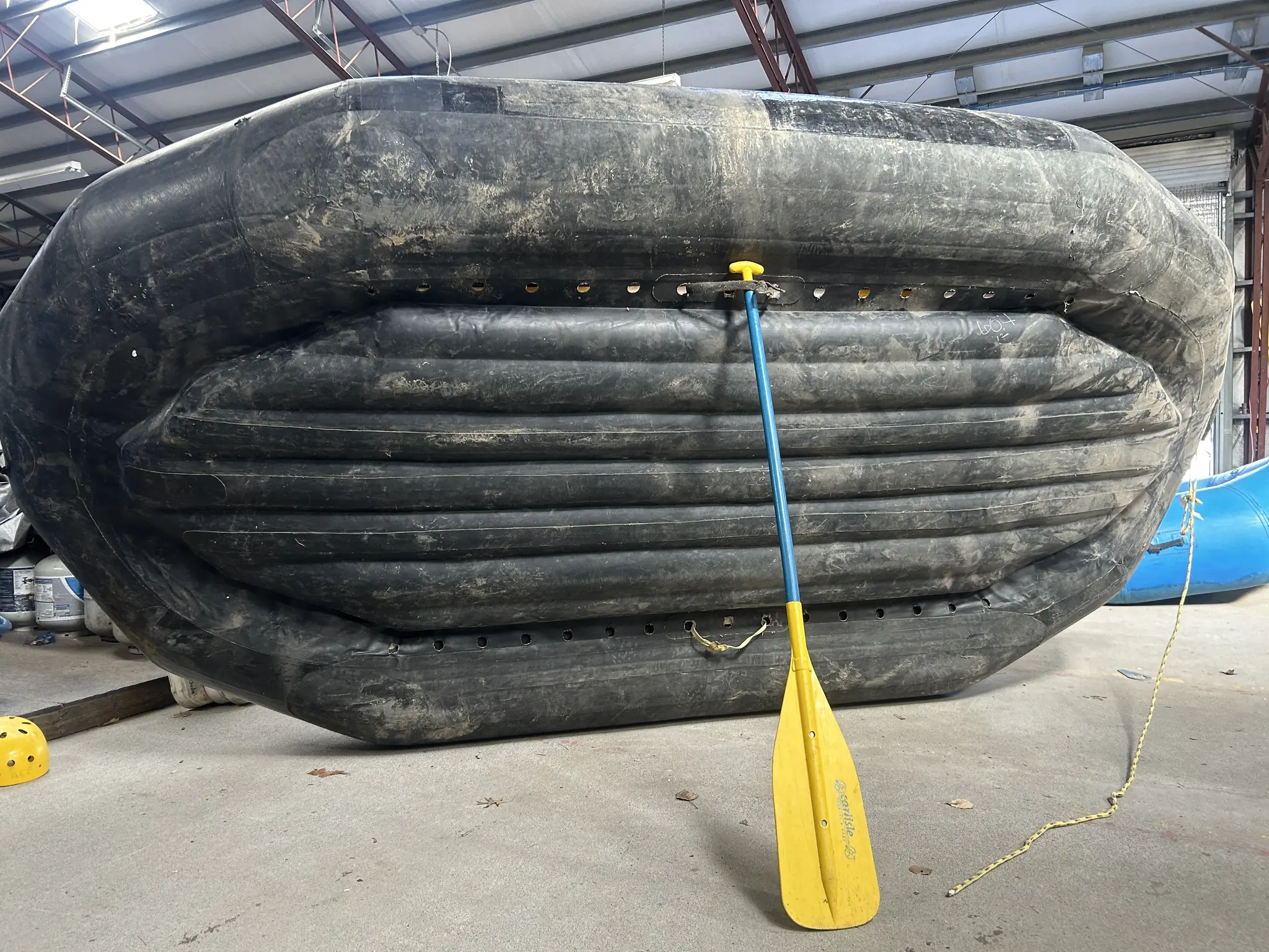 AI-generated alt text provided by AltText.ai will go here