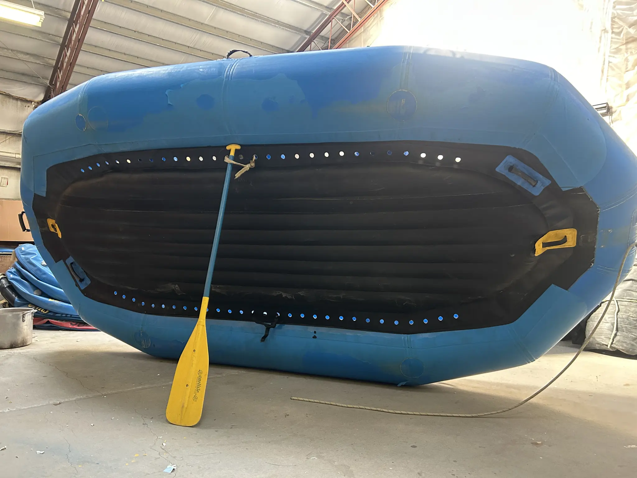 AI-generated alt text provided by AltText.ai will go here