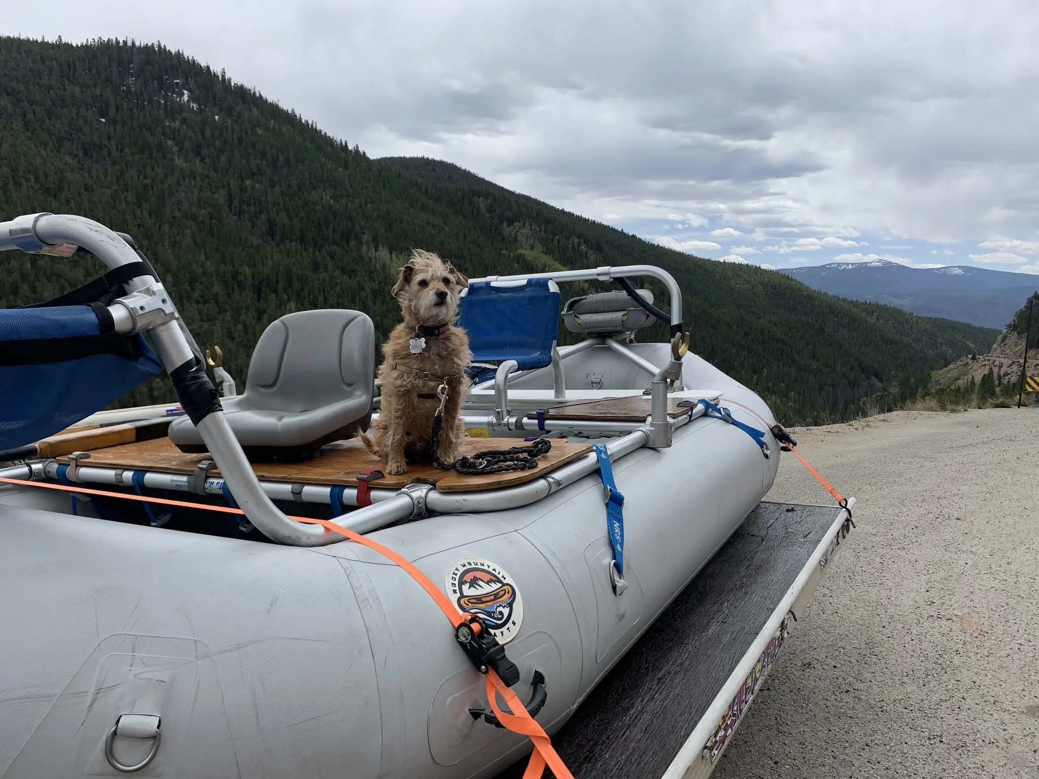 AI-generated alt text provided by AltText.ai will go here