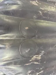 AI-generated alt text provided by AltText.ai will go here